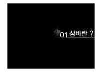 브라질 `삼바(samba)` 축제 조사-3