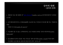 브라질 `삼바(samba)` 축제 조사-8
