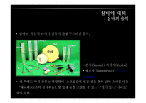 브라질 `삼바(samba)` 축제 조사-11