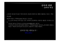 브라질 `삼바(samba)` 축제 조사-12