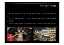 브라질 `삼바(samba)` 축제 조사-16