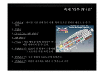 브라질 `삼바(samba)` 축제 조사-20