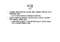 비염의 증상, 일반약 추천과 복약지도-5