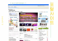 비주류 음악(인디뮤직)의 전파, 향유방식 조사-18