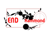 Hammond 모형 연구-9
