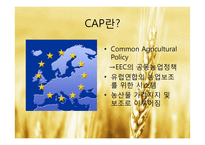EU 공동농업정책(CAP)-2