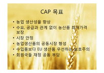 EU 공동농업정책(CAP)-6