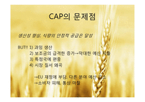 EU 공동농업정책(CAP)-10