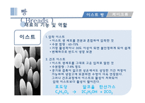 밀가루와 서류 조리원리-9