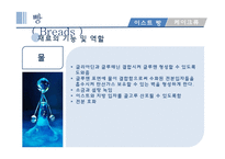 밀가루와 서류 조리원리-10