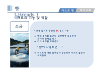 밀가루와 서류 조리원리-12