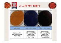 젓갈로부터의 Lactobacillus plantarum과 Lactobacillus paracasei 분리-12
