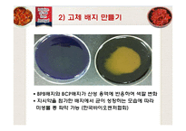 젓갈로부터의 Lactobacillus plantarum과 Lactobacillus paracasei 분리-14