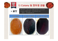 젓갈로부터의 Lactobacillus plantarum과 Lactobacillus paracasei 분리-19