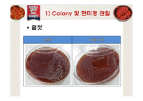 젓갈로부터의 Lactobacillus plantarum과 Lactobacillus paracasei 분리-20