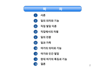일과 여가의 의미와 기능 및 발달-2