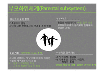 구조적 가족치료-11