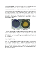 젓갈로부터의 Lactobacillus plantarum과 Lactobacillus paracasei 분리-5