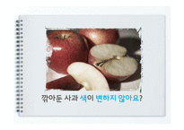 아황산 성분 분석-4