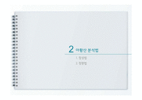 아황산 성분 분석-9