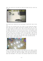 교사의 아동학대-8