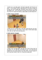 정서발달과 친밀한 관계형성, 정서적 `애착`에 관하여-7