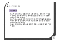 시각장애아동의 이해 및 교육-10