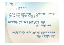 청소년의 소비문제-3