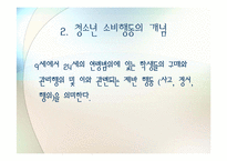 청소년의 소비문제-4