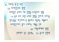 청소년의 소비문제-8