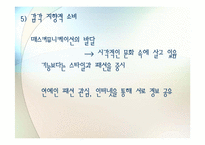 청소년의 소비문제-12