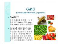 GMO와 노화 레포트-3