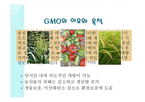GMO와 노화 레포트-4