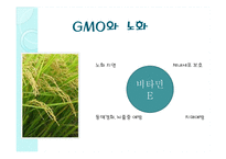 GMO와 노화 레포트-16
