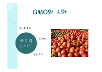 GMO와 노화 레포트-17