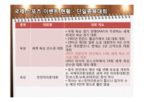 국내 스포츠 이벤트 개최 현황-8