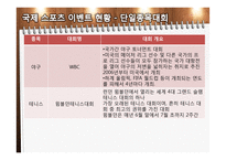 국내 스포츠 이벤트 개최 현황-9