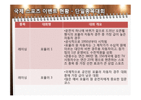 국내 스포츠 이벤트 개최 현황-10