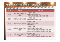 국내 스포츠 이벤트 개최 현황-11