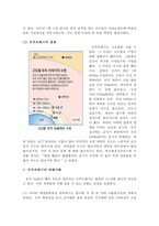 우주쓰레기 피해사례와 처리방안-4