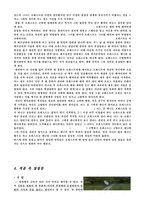 포레스트 검프 작품 분석-3