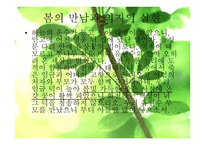 고전소설강독-유충렬전-14