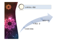 고려속요 작품 조사-5