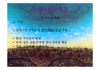 고소설의 유형별 작품감상 및 쇠퇴원인 고찰-7