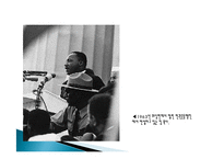 앨리스 워커 Alice Walker 생애와 작품 연구-9