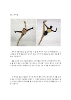 피겨스케이팅이 국가에 미치는 영향과 향후전망-12