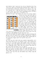 정보 격차의 원인과 문제점 고찰-6