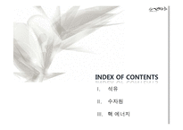 이슬람의 자워전쟁, 에너지 안보-2