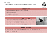 독일의 분단역사와 재통일-11