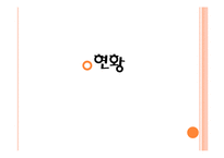 다문화 가정의 사회문제-6